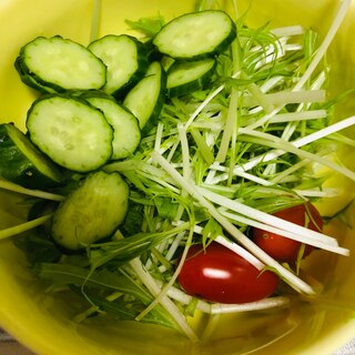 水菜とトマトときゅうりのサラダ